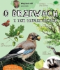 Wojciech Gil opowiada o drzewach i ich mieszkańcach - Wojciech Gil