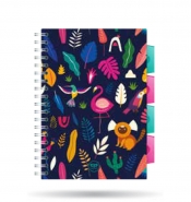 Coolpack, Kołobrulion Project Book B5 - Lady Color (27230CP)