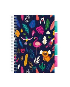 Coolpack, Kołobrulion Project Book B5 - Lady Color (27230CP)