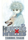 Hunter x Hunter. Tom 17 Yoshihiro Togashi