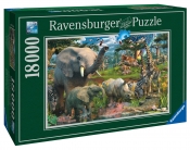 Ravensburger, Puzzle 18 000: Penfound: Przy Wodopoju (178230)