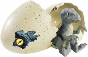 Jajkozaury: Wykluwający się dinozaur - Velociraptor (FMB91/FMB92)