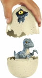 Jajkozaury: Wykluwający się dinozaur - Velociraptor (FMB91/FMB92)