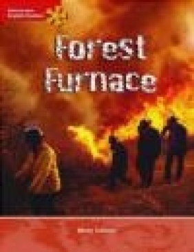 Forest Furnace Mary Colson