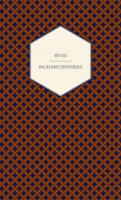 Bevis