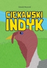 Ciekawski indyk Dawid Wysocki