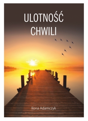 Ulotność chwili - Ilona Adamczyk