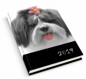 Kalendarz książkowy B6/352 Koty i Psy 2019