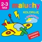 Maluchy. Koloruję z naklejkami. Akademia malucha 2-3 lata - Anna Wiśniewska
