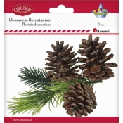 Dekoracje florystyczne - sosny z szyszkami (439892)