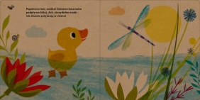 Moja mała kaczuszka - Britta Teckentrup