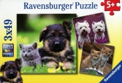 Puzzle koty i psy 3x49 (094233)