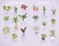 Kalendarz 2022 Rośliny domowe - Opracowanie zbiorowe