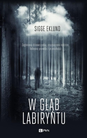 W głąb labiryntu - Sigge Eklund