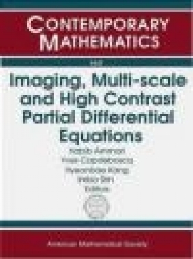 Imaging, Multi-Scale and High Contrast Partial Differential Equations