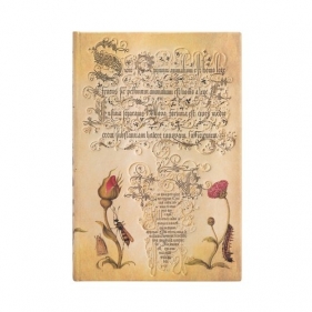 Notes Flemish Rose Mini linia