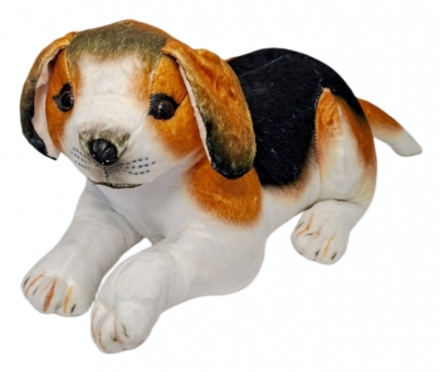 <img src='https://webimage.pl/pics/234/4/d5902496224234U1427.jpg' style='height:440px' /> Pies beagle