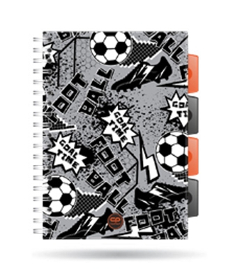 <img src='https://webimage.pl/pics/234/9/d5903686329234.jpg' style='height:440px' /> Kołozeszyt A5 100k kratka PP Coolpack grey ball