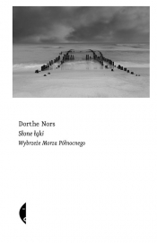 Słone łąki. Wybrzeże Morza Północnego - Dorthe Nors