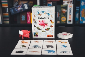 Pigasus