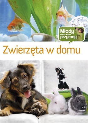 Zwierzęta w domu - Brańska-Oleksy Izabela