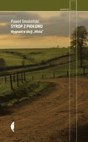 Syrop z piołunu - Paweł Smoleński