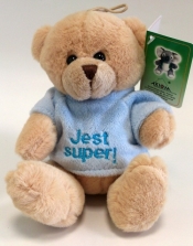 Miś Damian Jest Super 15cm
