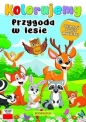 Przygoda w lesie. Kolorujemy - Opracowanie zbiorowe