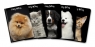 Zeszyt A5/96k Kitty&Dog (IMP-400135998) mix