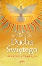 Skarbiec modlitw do Ducha Świętego - Sylwester Szefer
