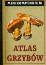 Atlas grzybów Minikompendium