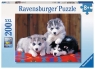 Ravensburger, Puzzle XXL 200: Szczenięta Husky (12823)Wiek: 8+