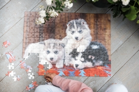 Ravensburger, Puzzle XXL 200: Szczenięta Husky (12823)