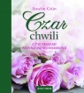 Czar chwili Z życzeniami wewnętrznej harmonii Grun Anselm