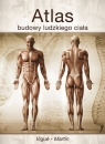 Atlas budowy ludzkiego ciała (Uszkodzona okładka)