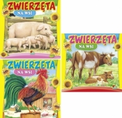 Książeczka do czytania (sztywne strony)mix tytułów (15) - Opracowanie zbiorowe