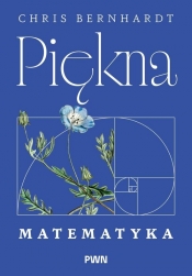 Piękna matematyka. Zaskakująco proste pomysły stojące za rewolucją cyfrową w naszym życiu, pracy i komunikacji - Chris Bernhardt
