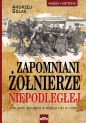Zapomniani żołnierze Niepodległej - Andrzej Solak