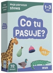 Moje pierwsze słowa. Co tu pasuje? - Agnieszka Fabisiak-Majcher, Elżbieta Ławczys