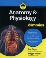 Anatomy and Physiology For Dummies Odya Erin, Norris Maggie A.