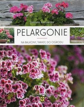 Pelargonie na balkony, tarasy, do ogrodu