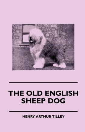 The Old English Sheep Dog - Tilley Henry Arthur
