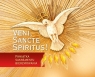 Veni Sancte Spiritus. Pamiątka bierzmowania - czer praca zbiorowa