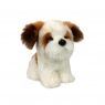 Pies Shih Tzu 18cm