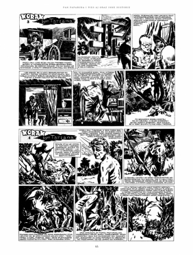 Pan Paparura i pies Aj oraz inne historie. Komiksy różne - Janusz Christa