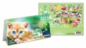 Kalendarz 2023 pocztówkowy Koty