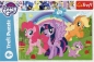Puzzle 60: My Little Pony - Tęczowa przyjaźń