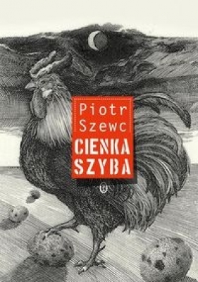 Cienka szyba - Szewc Piotr