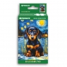 Puzzle mini 108 elementów Penmate Starry Night Dachshund