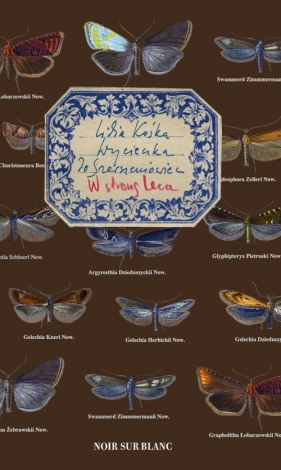 Wycieczka do Szerszeniowiec. W stronę Leca - Lidia Kośka